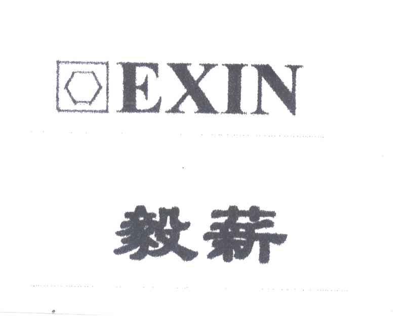 毅薪;EXIN