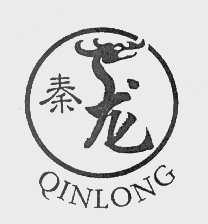 秦龙