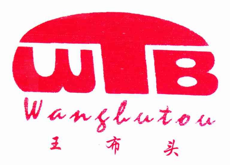 王布头 WTB