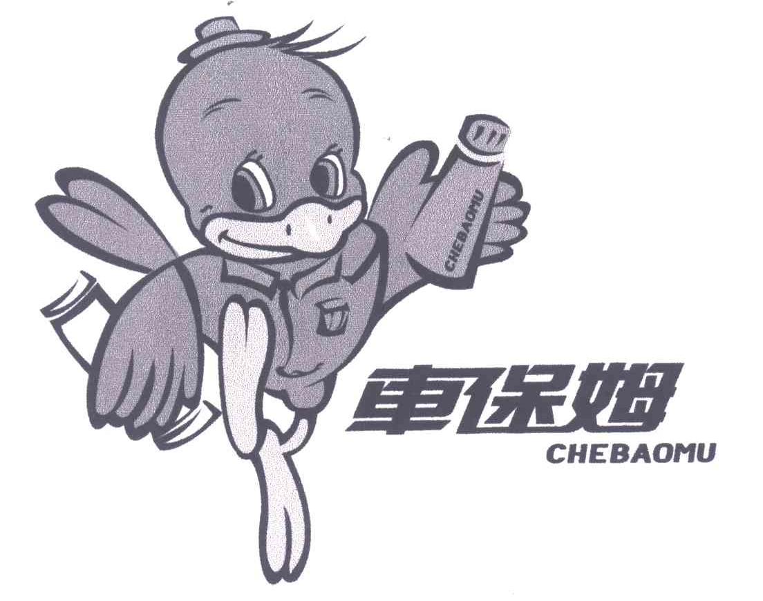 车保姆