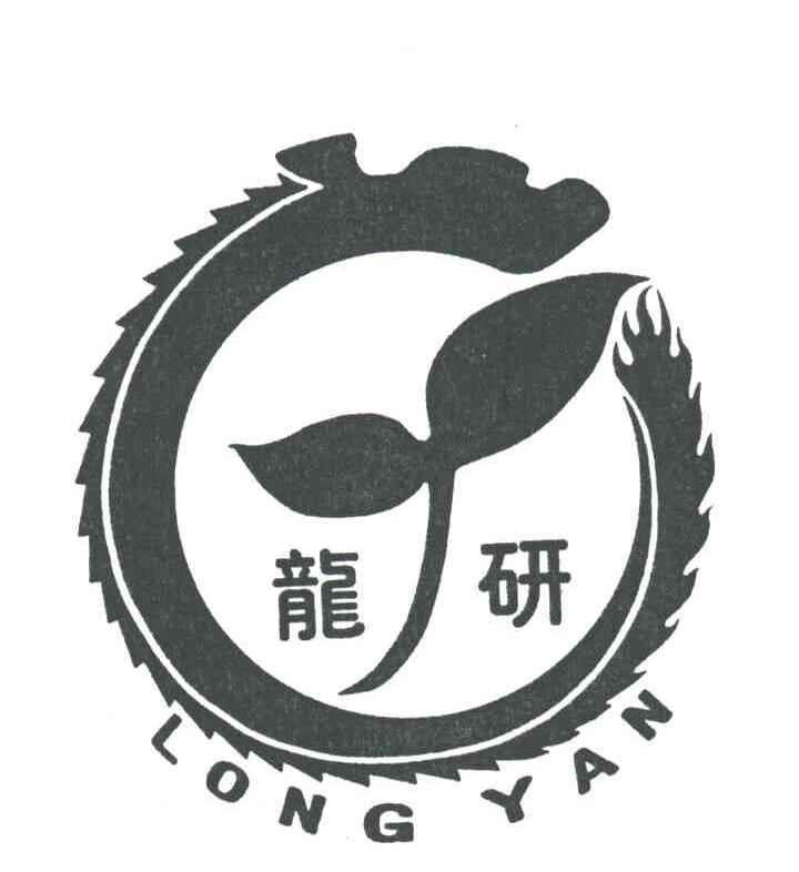 龙研