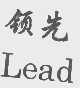 领先  LEAD