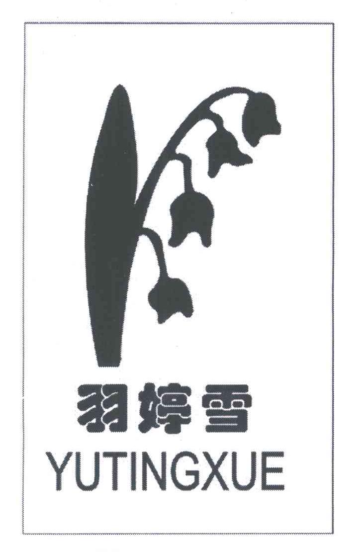羽婷雪