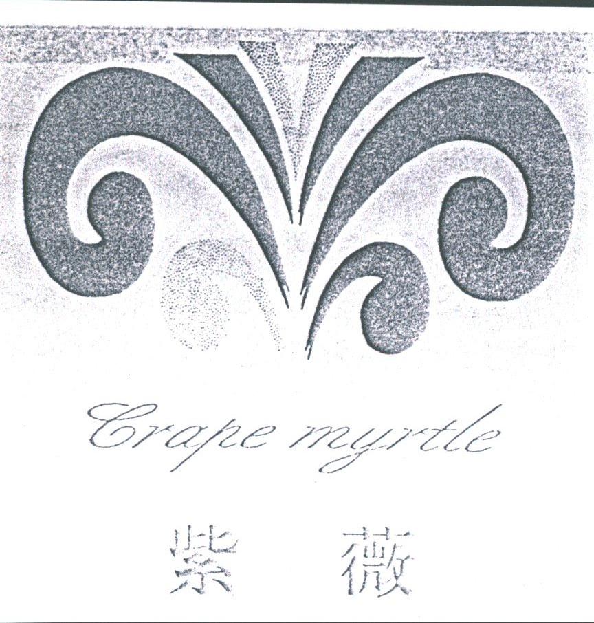 紫薇;CRAPE MYRTLE