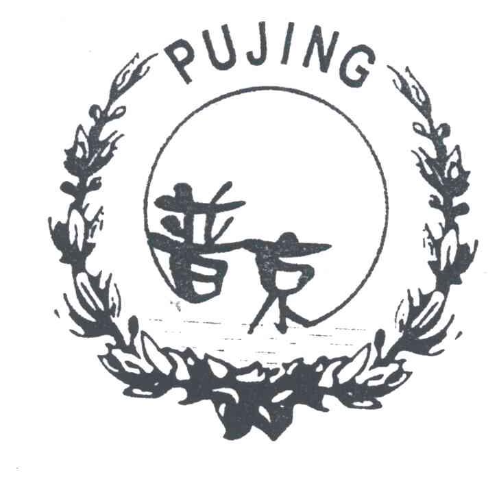 普京