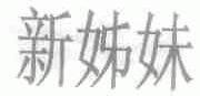 新姊妹