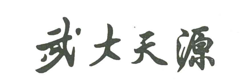 武大天源
