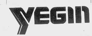 YEGIN