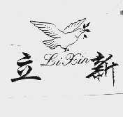 立新