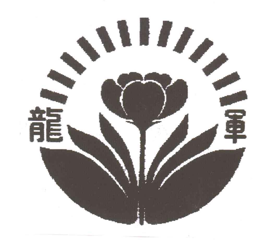 龙军
