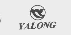 YALONG