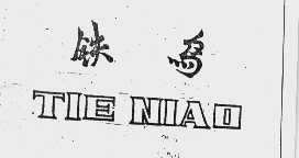 铁鸟