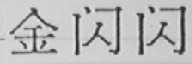 金闪闪