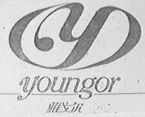 雅戈尔    YOUNGOR