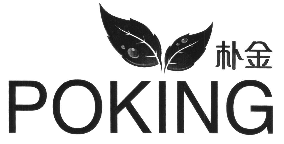朴金 POKING