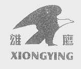 雄鹰