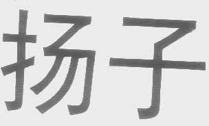 扬子