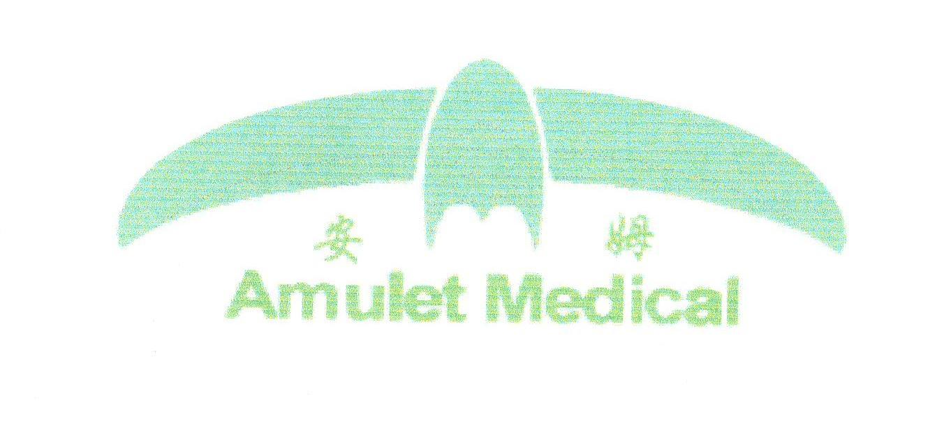 安姆;AMULET