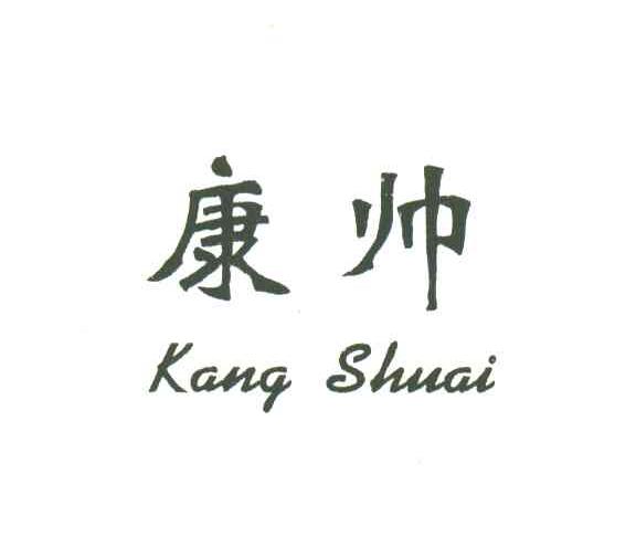 康帅;KANG SHUAI
