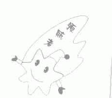 领航者
