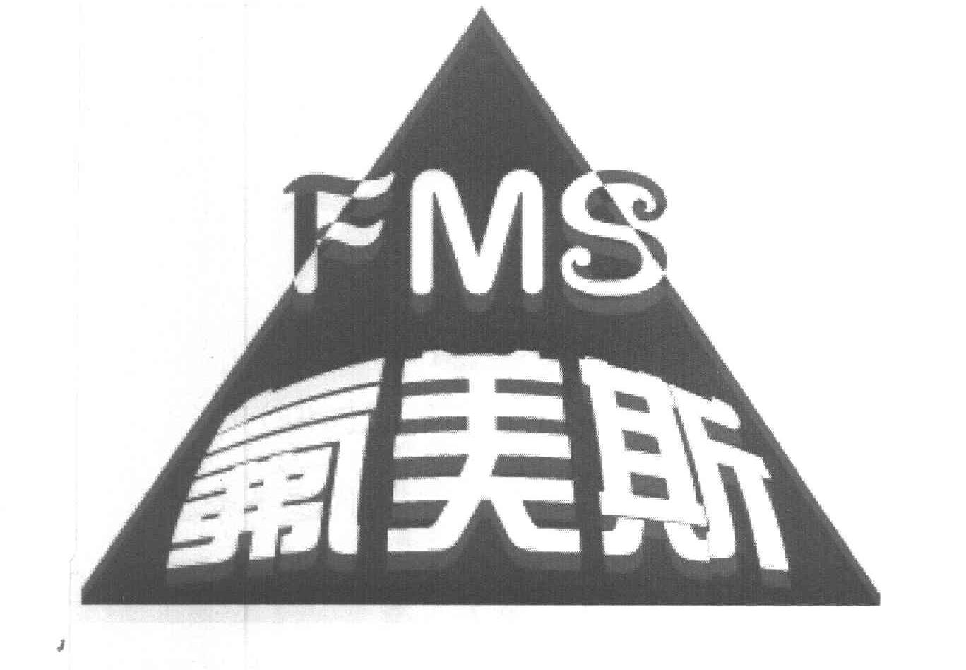 氟美斯 FMS