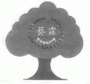 艺霖;ELING