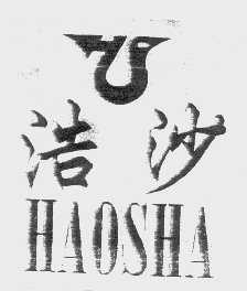 浩沙