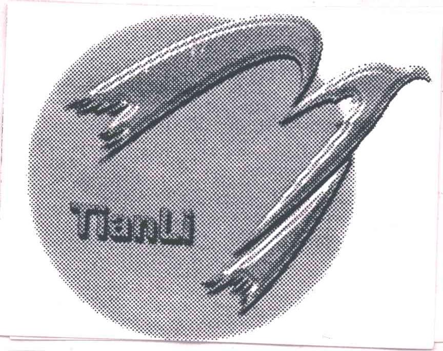 TIANLI