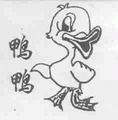 鸭鸭