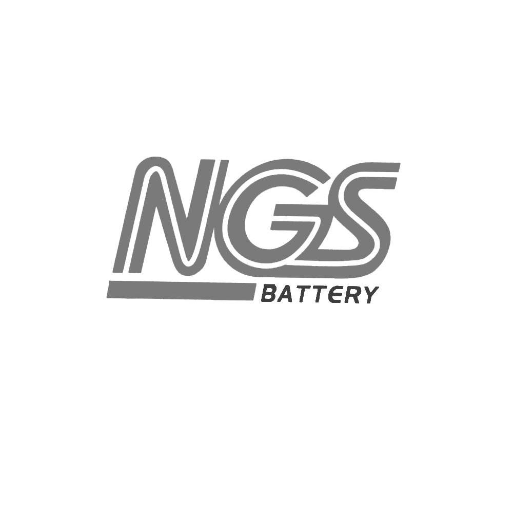 NGS BATTERY