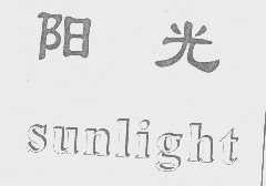 阳光   SUNLIGHT