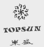东盛   TOPSUN