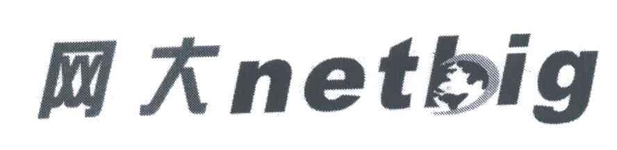 网大;NETBIG