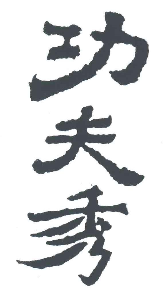 功夫秀;