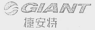 捷安特    GIANT