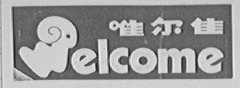 维尔佳    WELCOME