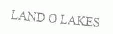 LAND O LAKES