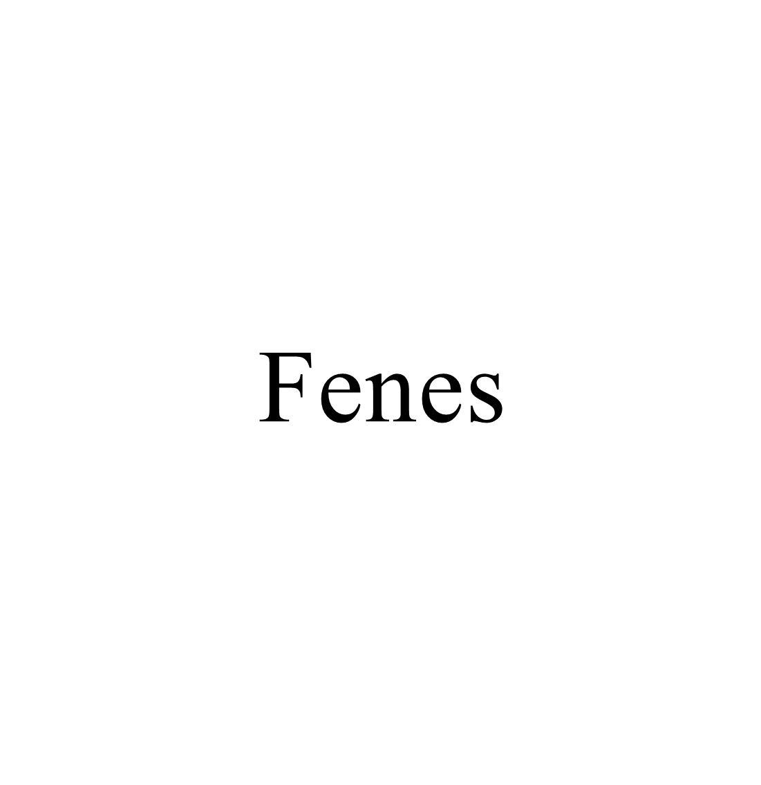 FENES