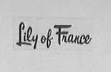 LILY OF FRANCE