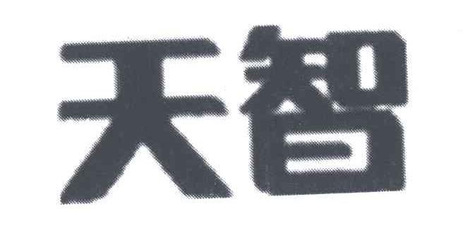 天智