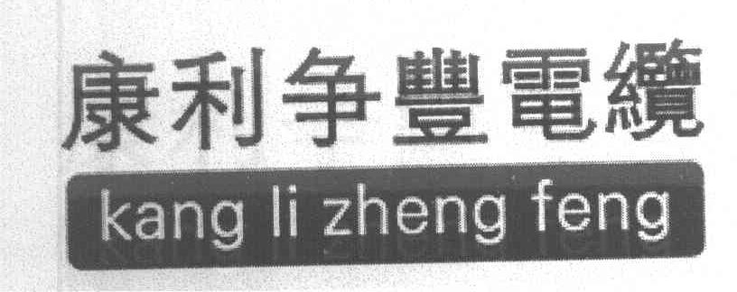 康利争丰电缆;KANG LI ZHENG FENG