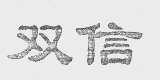 双信