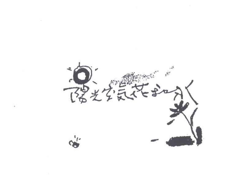 阳光空气花和水