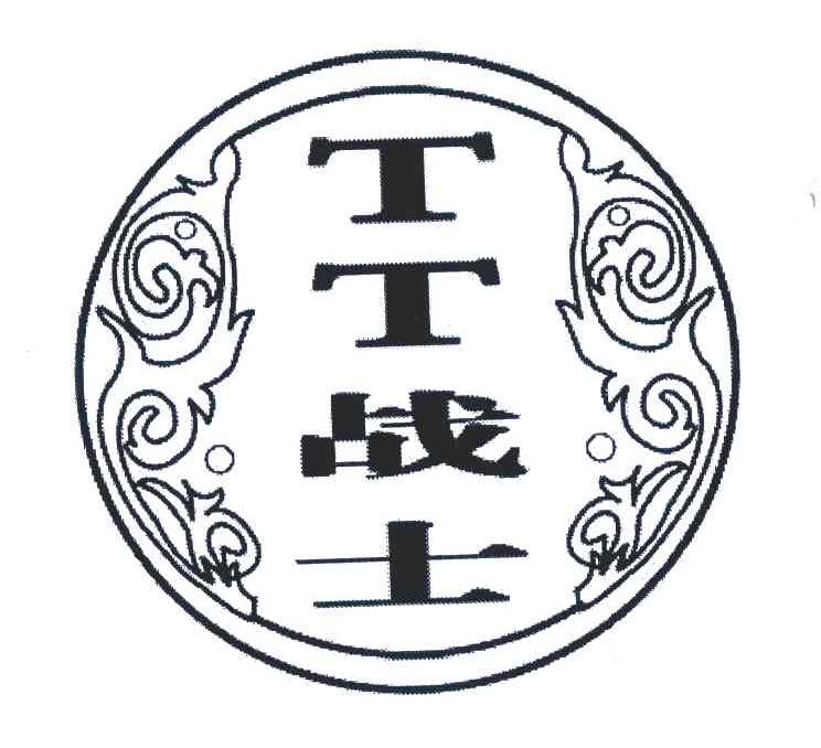 战士;TT