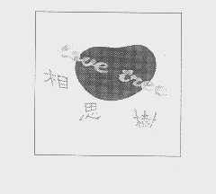 相思树   LOVE TREE