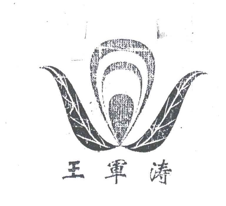 王军涛