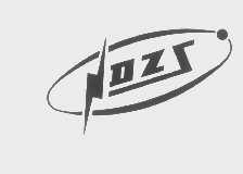DZS