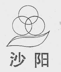 沙阳