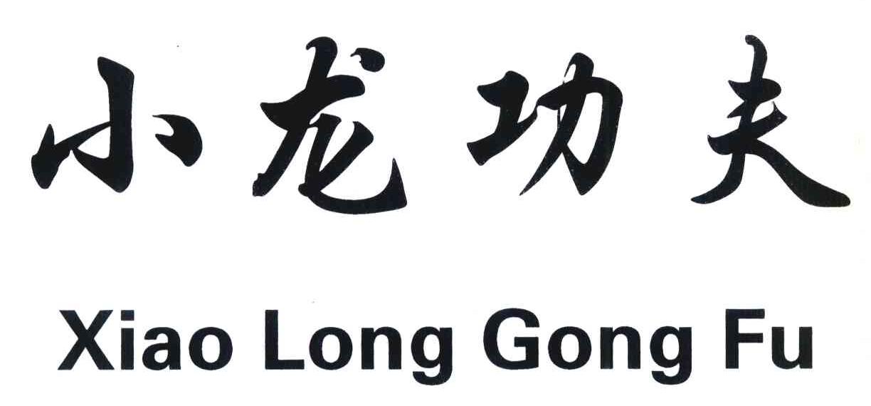 小龙功夫