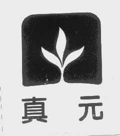 真元